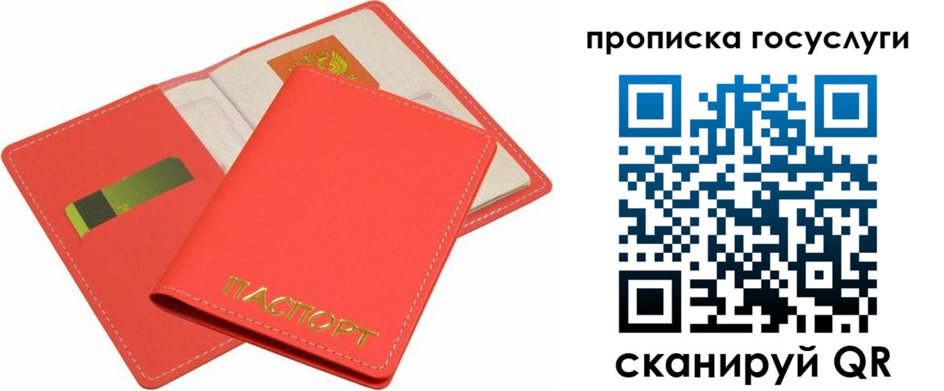 прописка иностранных граждан в Курской области